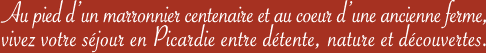 Au pied d'un marronnier centenaire et au coeur d'une ancienne ferme, vivez votre séjour en Picardie entre détente, nature et découvertes.